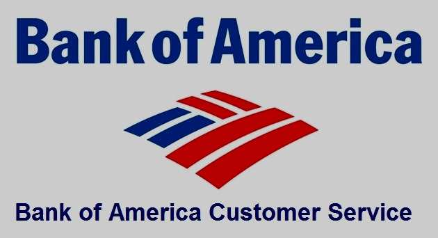 Bank of America Clover Customer Service